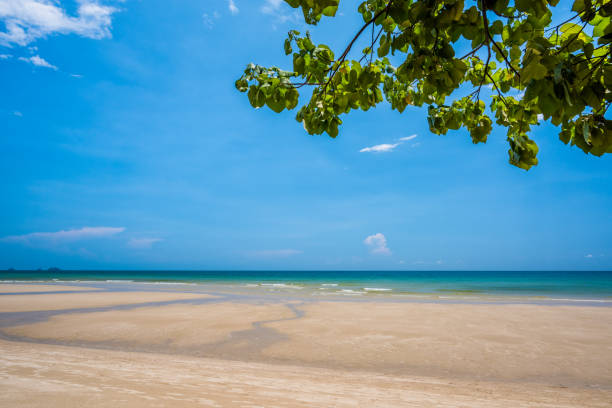 istock Sand beach and blue sky background 974853750