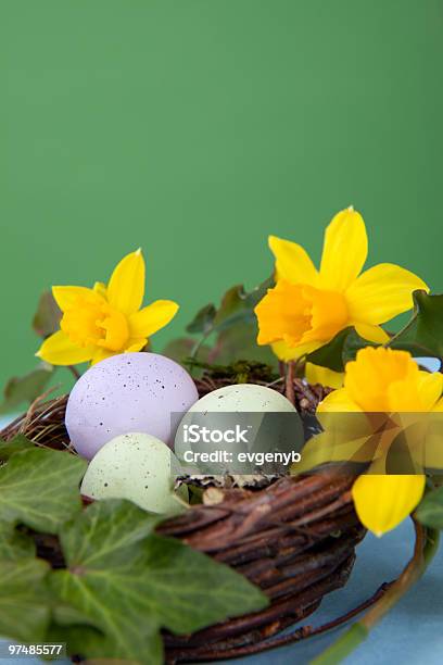 Wielkanoc Jaja I Daffodils - zdjęcia stockowe i więcej obrazów Aranżacja - Aranżacja, Bez ludzi, Bluszcz