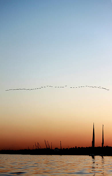 istock The river of Nile, Egypt. 97485692