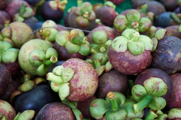 istock Close-up of mangosteen 974860260