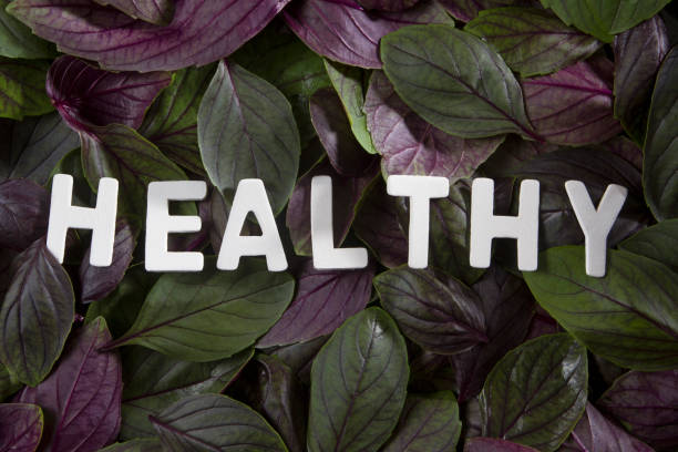 istock Healthy Eating Concept with Basil 974861506