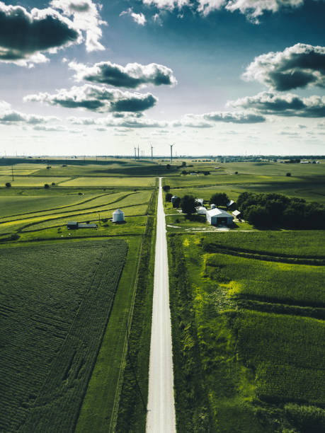wind turbine field
