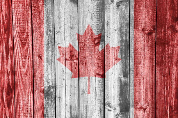 istock Textured flag of Canada in nice colors 974862696