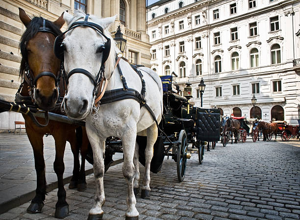 Horse-driven carriage at Hofburg palace, Vienna stock photo