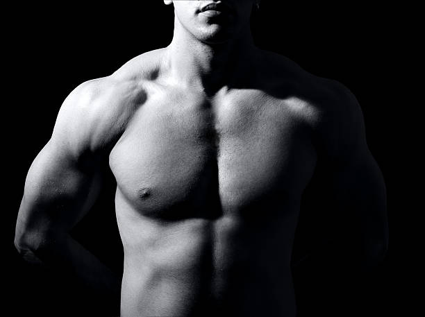 istock Muscular male torso 97486791