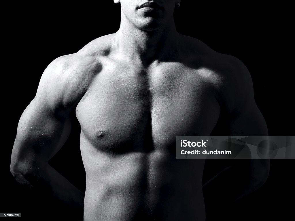 Muscular male torso  Men Stock Photo