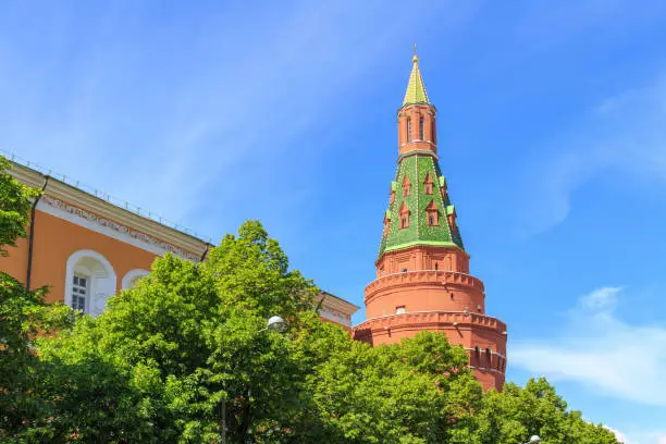 Photo of Uglovaya Arsenal'naya Tower of Moscow Kremlin on a green trees background in sunny summer morning
