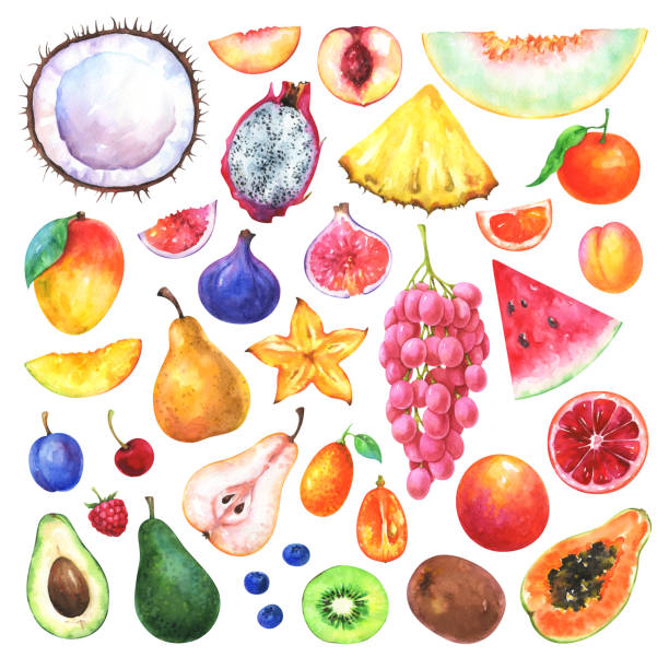 ilustraciones, imágenes clip art, dibujos animados e iconos de stock de conjunto de frutas pintadas - papaya fruta tropical