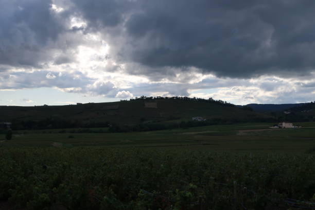Beaujolais wine-growing region