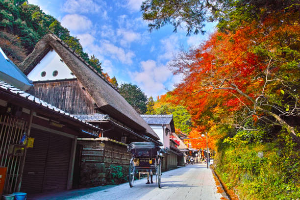 сага торийхон таун - autumn leaf november japan стоковые фото и изображения