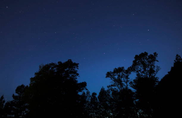 istock Night sky in North Carolina 974886688