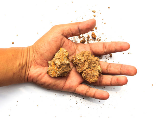 istock Soil in man arms on white background. 974888228