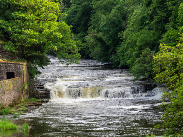 nowe wodospady lanark - new seven wonders of the world zdjęcia i obrazy z banku zdjęć