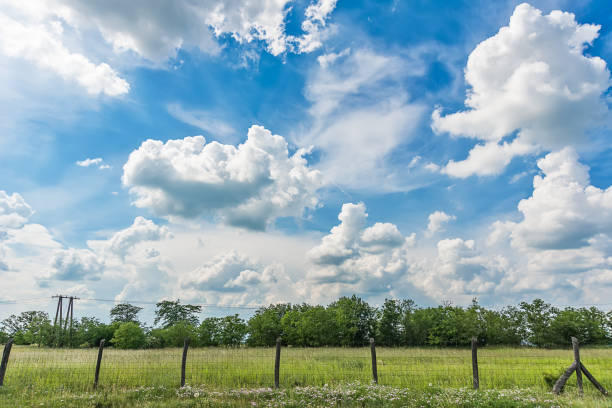 istock Green grass against blue sky 974889758