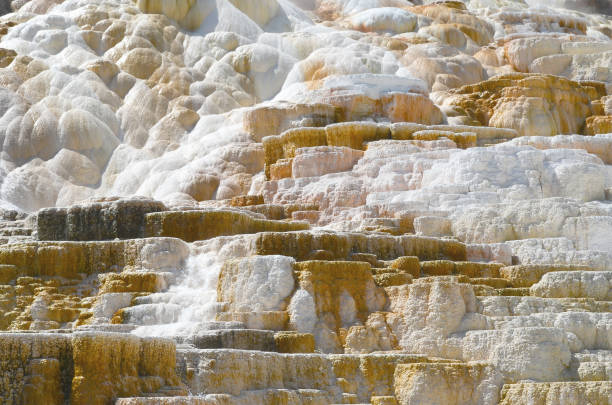 a spectacular limestone and water staircase, a terraced fountain, a wonder of nature in Yellowstone Park