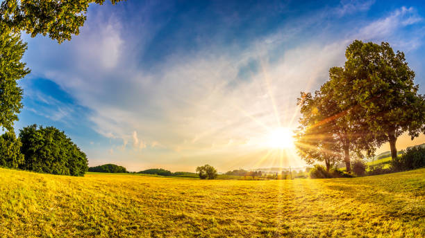 istock Beautiful sunrise in the countryside 974891780