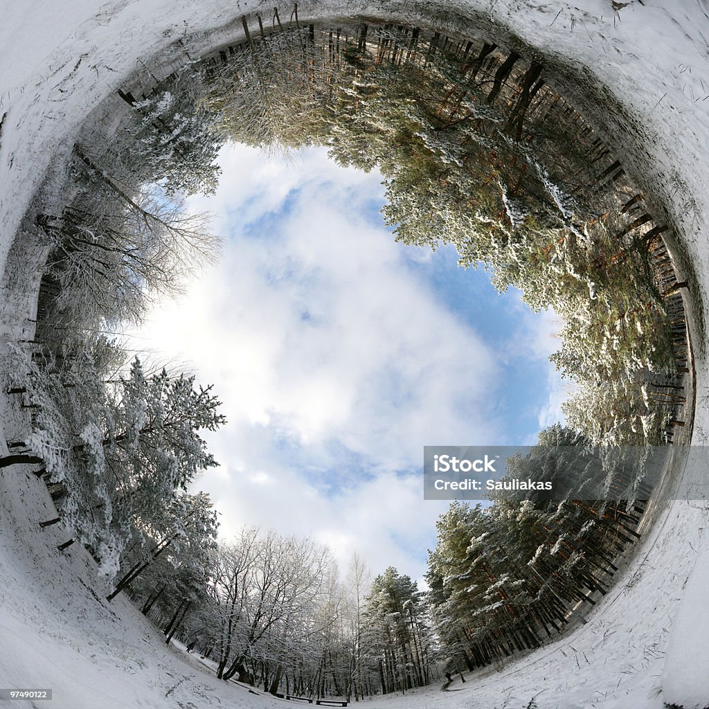 De invierno - Foto de stock de Invierno libre de derechos