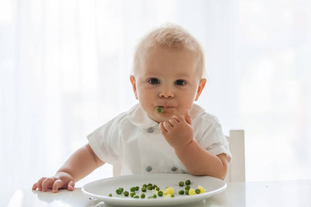 Toddler child, cute boy in white shirt, eating pea at home Toddler child, cute boy in white shirt, eating pea at home, back lit happy green peas stock pictures, royalty-free photos & images