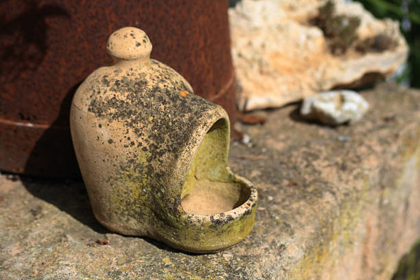 istock Ibiza garden 97490502