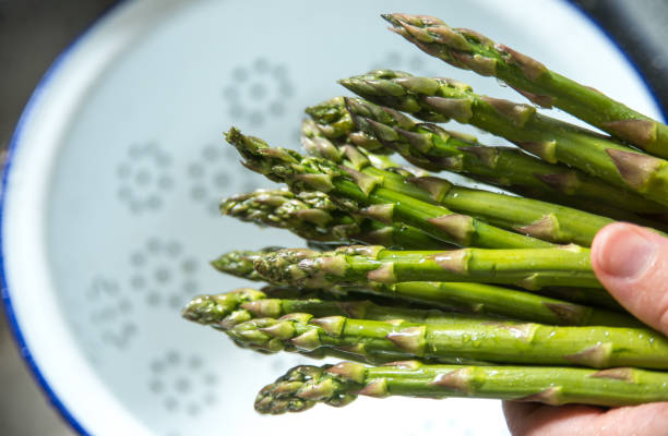 istock Asparagus being washed in steel sink under running spray tap in colander 974909310