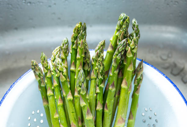 istock Asparagus in blue and white rustic colander in steel kitchen sink 974909816