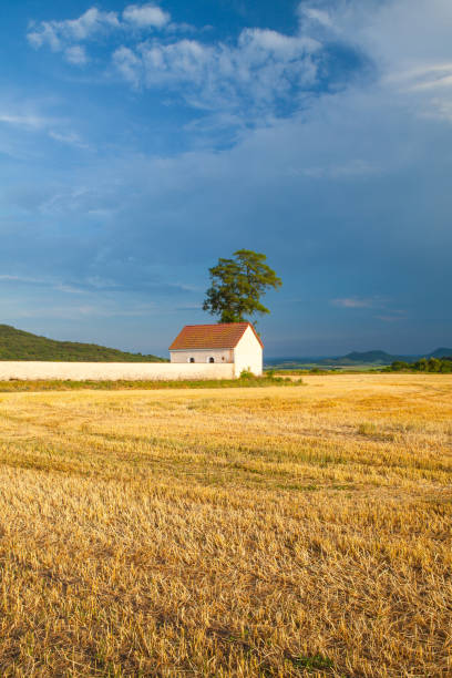 istock Cemetery between the fields at the village Merunice. 974910228