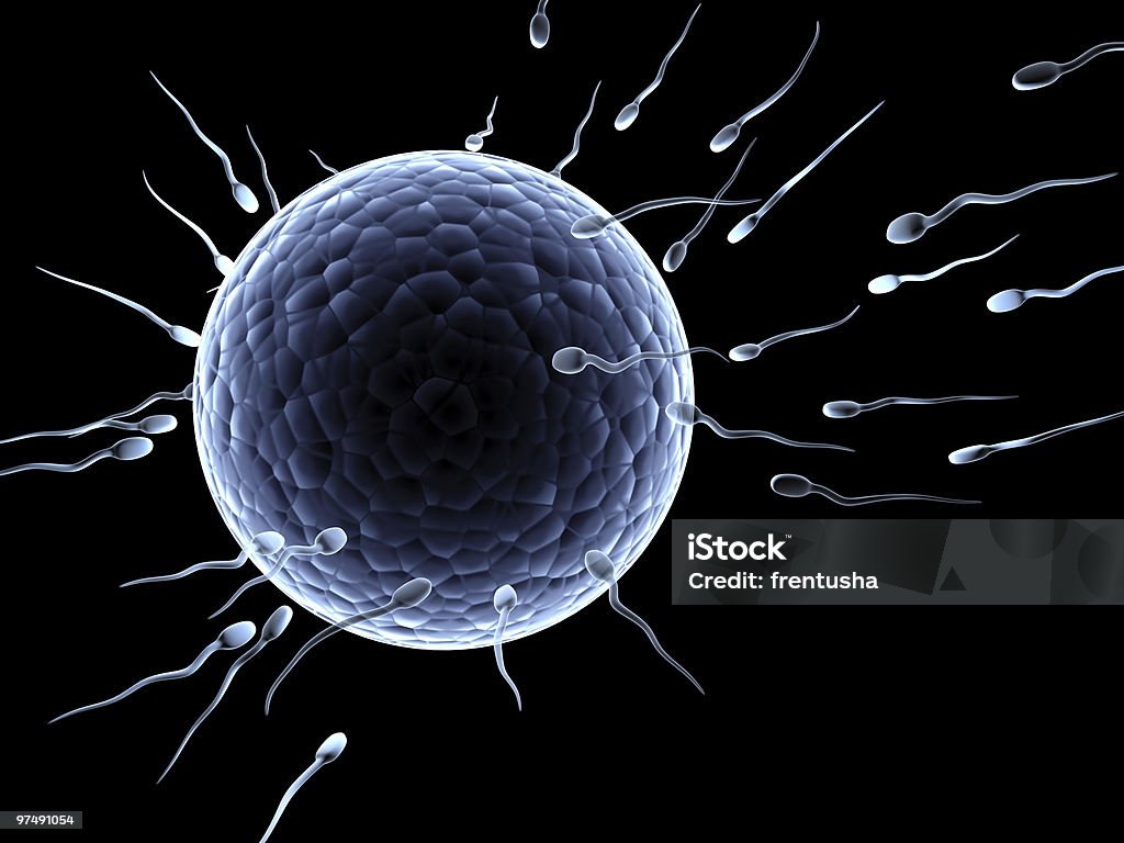 Spermatozoons, flutuando para ovule - Foto de stock de Esperma royalty-free