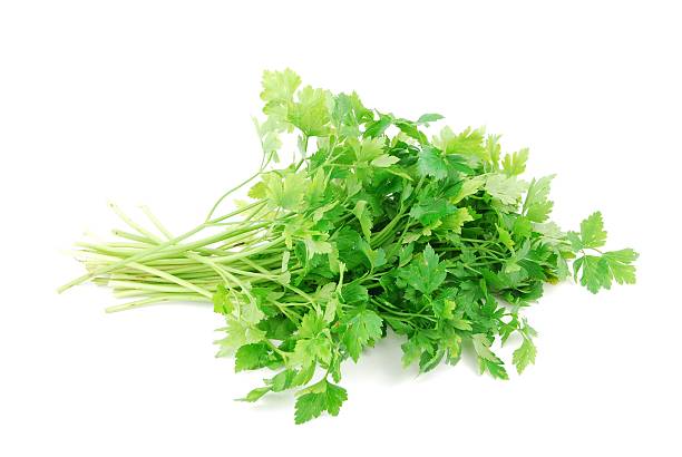 istock Bouquet of parsley on white 97491200