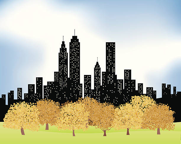 illustrazioni stock, clip art, cartoni animati e icone di tendenza di skyline della città e parco con alberi in autunno, inverno illustrazione - new york rain