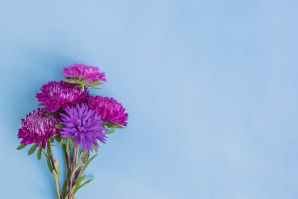 istock Bouquet with pink flowers on blue background 974918744