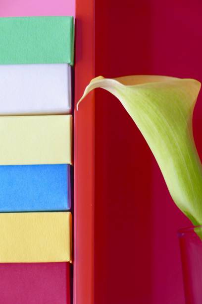 multi colored boxes and a flower blossom in the shelf - shelf bookshelf empty box imagens e fotografias de stock