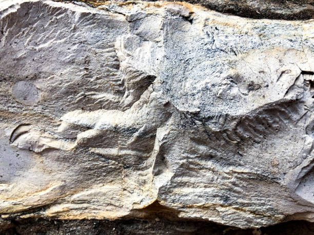 istock Close up of natural stone wall. Stone wall texture 974922586