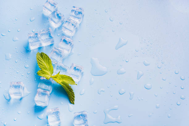 ghiaccio con menta isolata sul blu. - mint peppermint water leaf foto e immagini stock