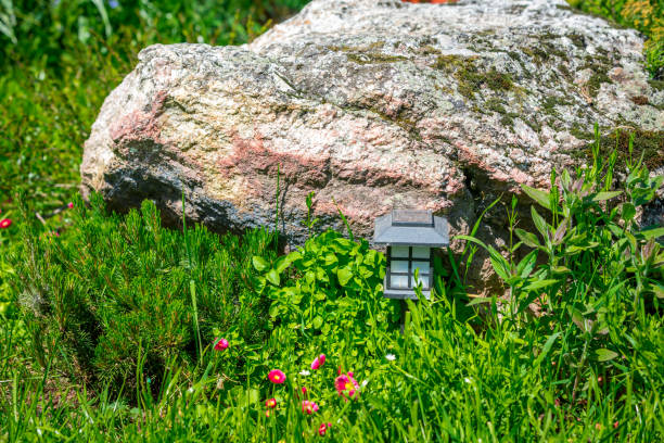 istock Decorated flower garden 974932878