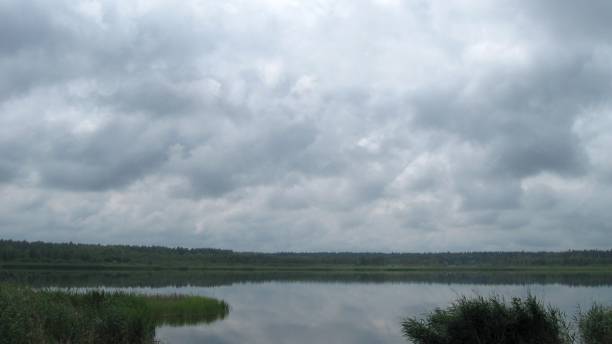 istock After the rain on the lake 974933064
