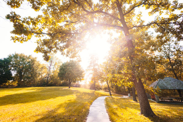autumn park in usa