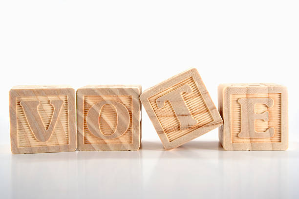 istock VOTE - wooden blocks series 97493750