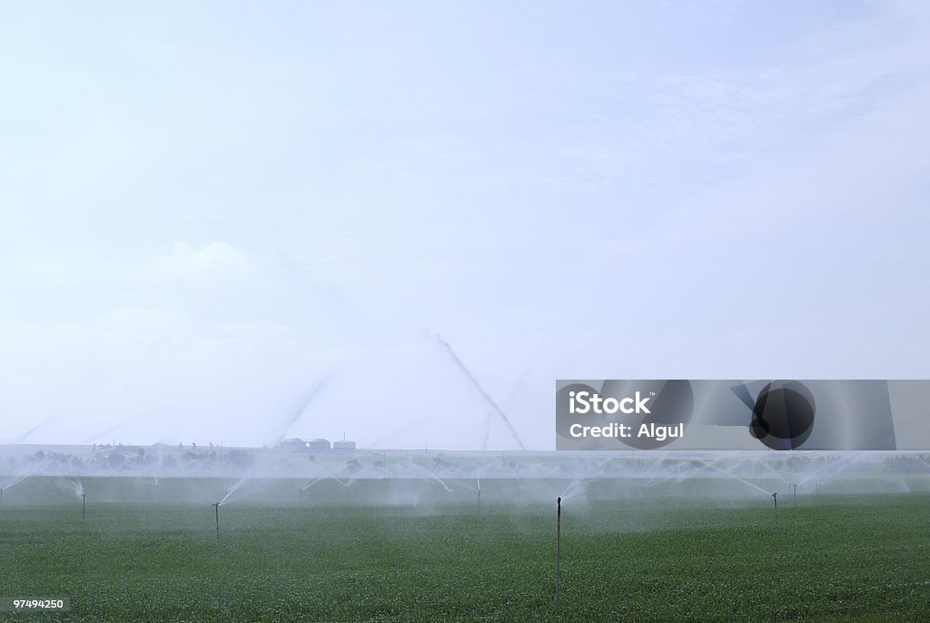 Irrigation  Agricultural Field Stock Photo