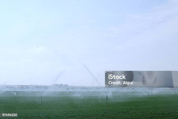 Irrigation Stock Photo - Download Image Now - Agricultural Field, Agricultural Sprinkler, Agriculture