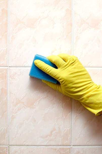 istock Cleaner with gloves  and blue sponge 97494315