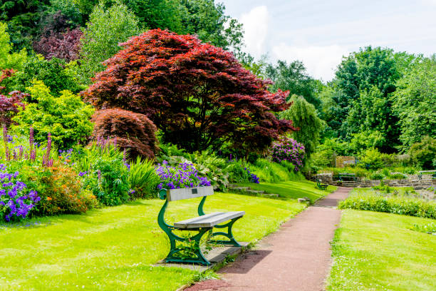 Lonely bench on a forest path.