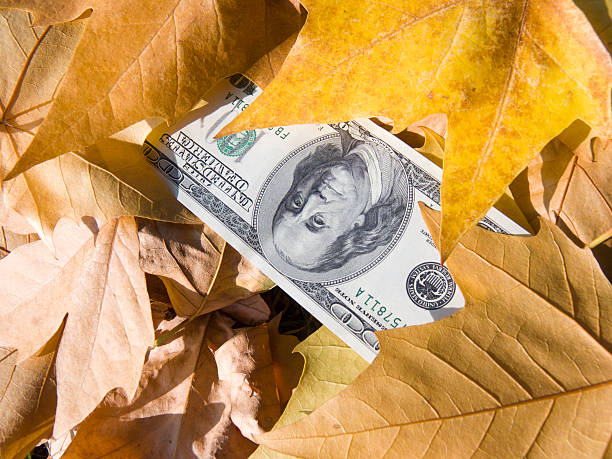 istock American dollars and autumn  leaves 97495110