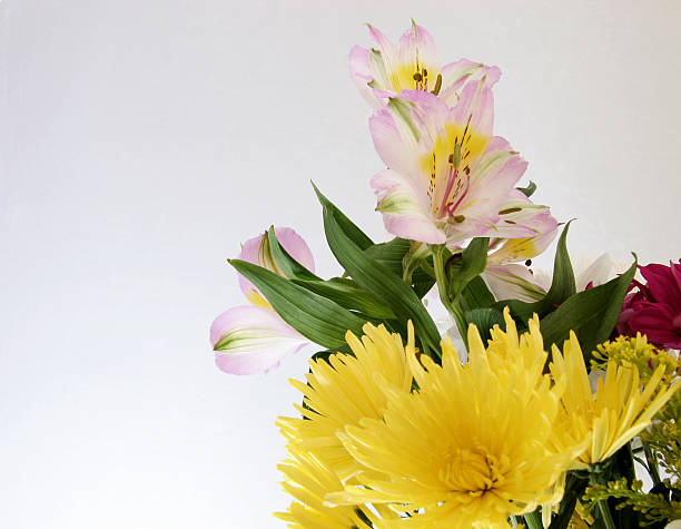 cut flowers in a bouquet stock photo