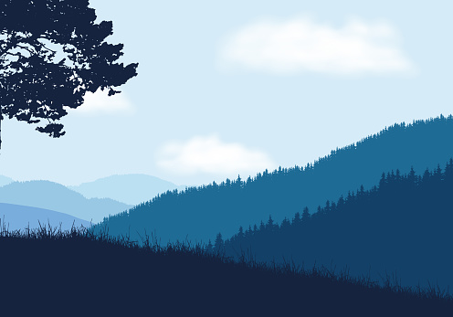 Mountain landscape with forest and hill with grass in foreground under blue sky with clouds - vector