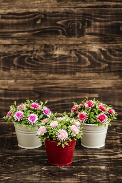 istock Artificial Flowers in White Flowerpots 974969690