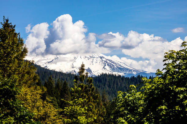 istock Mt Shasta view, California 974990580