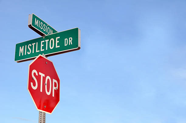 istock Mistletoe Drive Street Sign 97500729