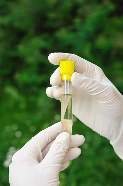 istock Hands holding test tube - over green background 97500952