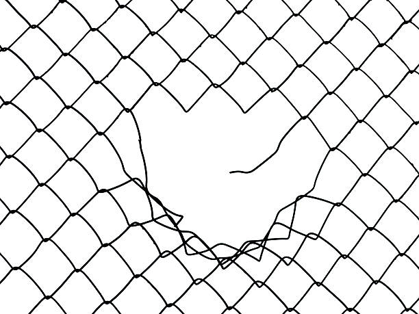 istock Large hole in a black wired fence 97501068