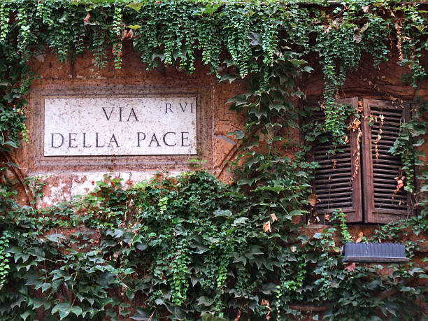 istock Ivy or vine covered wall in Rome 97501515